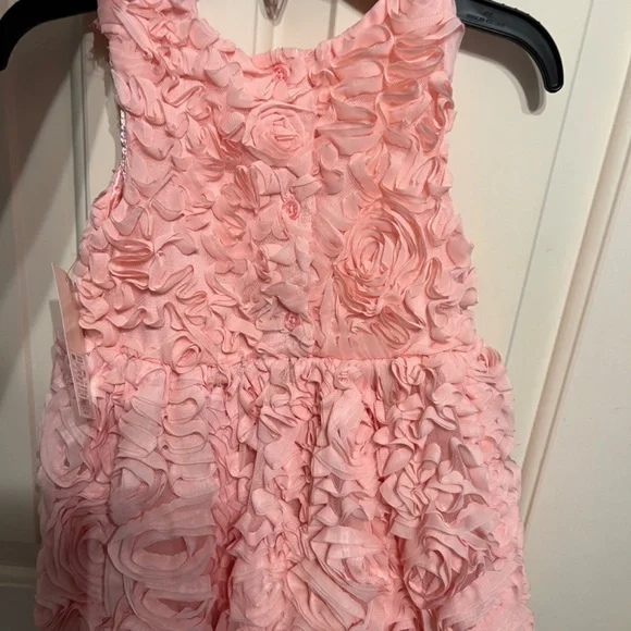 Cat & Jack baby/ little girl rosette dress - Picture 6 of 6